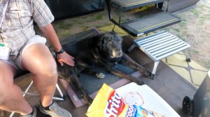 Elko enjoying Happy Hour!