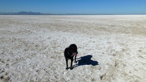 He also didn't know what this funny sand was, and why dad wouldn't let him go swimming in the lake.