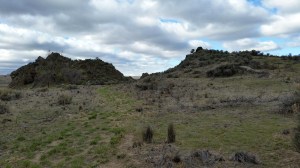 20150401_101747_resized