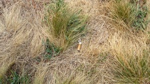 This belongs here, doesn't it?