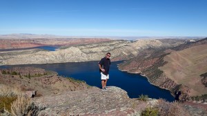 Given a cliff edge, Randy is compelled to stand by it!
