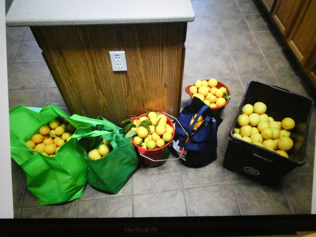 00706F67-99D9-4039-BCCA-771B7ABD951E