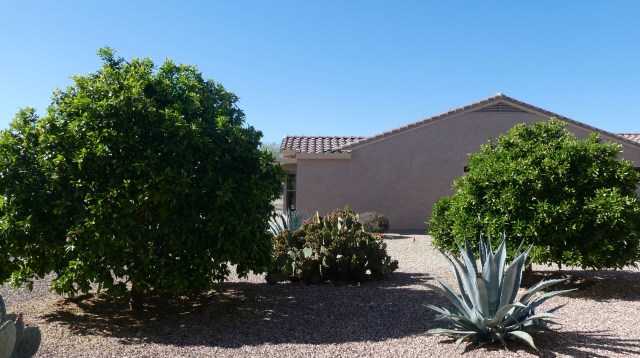 10DF4147-8B79-4356-85B4-1D6763E3D3E6_1_201_a