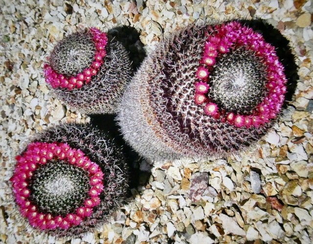 3D20F011-F81A-4C5D-9BBC-1E56A6B39A18_1_201_a