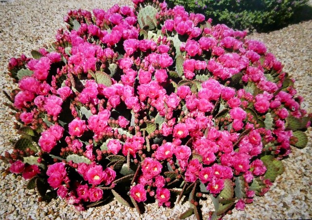 5604C4EE-171F-4C59-BDBB-700CEE4C7807_1_201_a