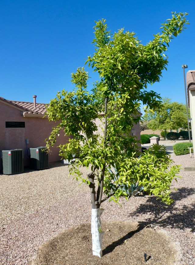 5E84FC68-B98F-42E1-A63E-854836231AAB_1_201_a