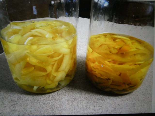 79772372-81DE-45C6-8A90-BFEEF30F1D5A