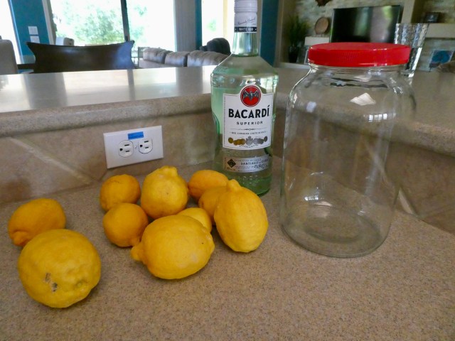 7AA426C1-B28E-48E4-9424-BBD90CE6EC36_1_201_a