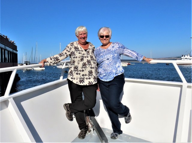 974A03BE-703E-4301-9999-360C717E36E8