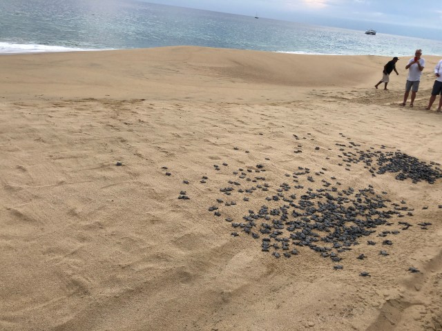 C6ED8A96-D5D9-49C1-9DC5-B8C7D2A3BD94