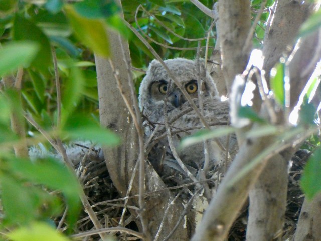 D9B8E8A4-5F54-4C7B-89E2-C1F684A14952_1_201_a