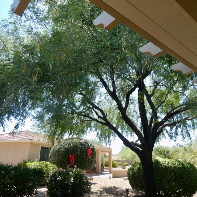 64744ED9-05E2-443B-A7CF-BA4926B7E36F_1_201_a