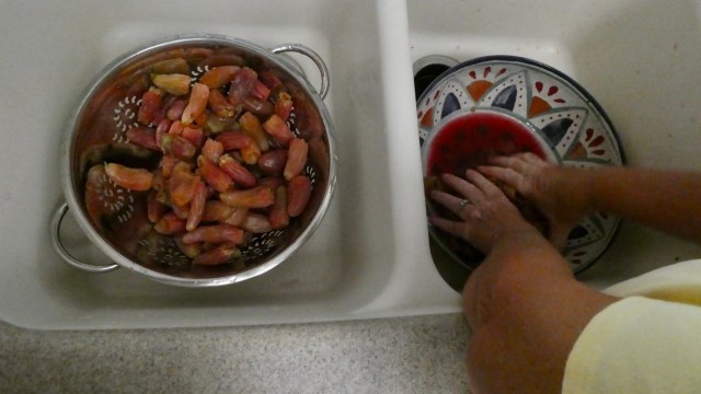 7AF5D36E-A353-40F4-944A-DCD27C6102D7_1_201_a