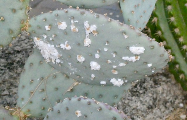 7CB37F0D-57D2-4CBF-939F-EF4D9C49C557_1_201_a