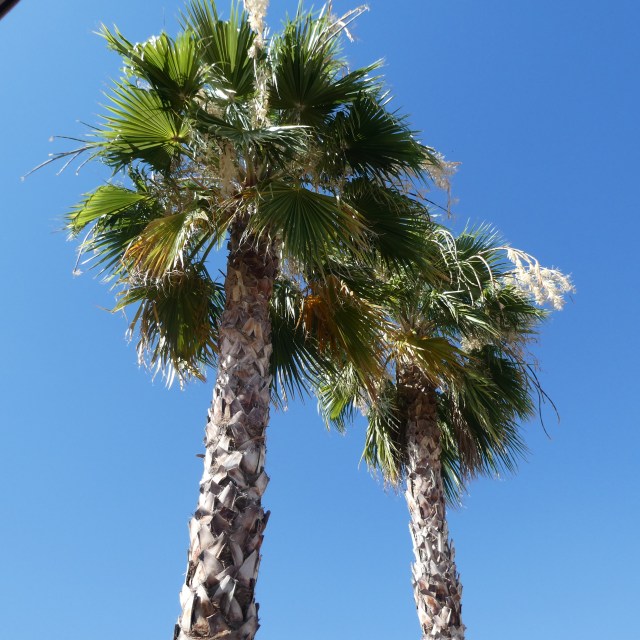 8B925EB3-A823-46E2-B88B-681861BF7866