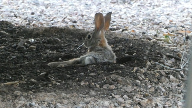 98F3EF2F-F456-4FA8-A5B3-4D9DBF99A5C3