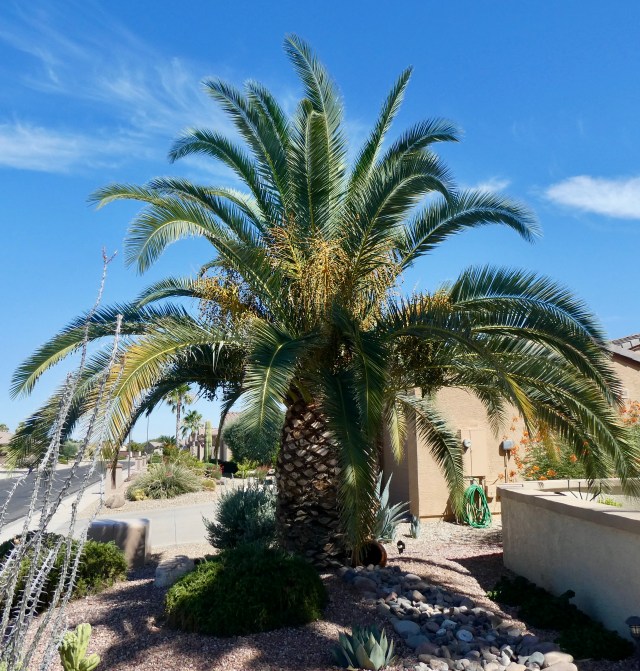 FD1F7805-C4FC-424B-8242-FFAAC05550BB_1_201_a