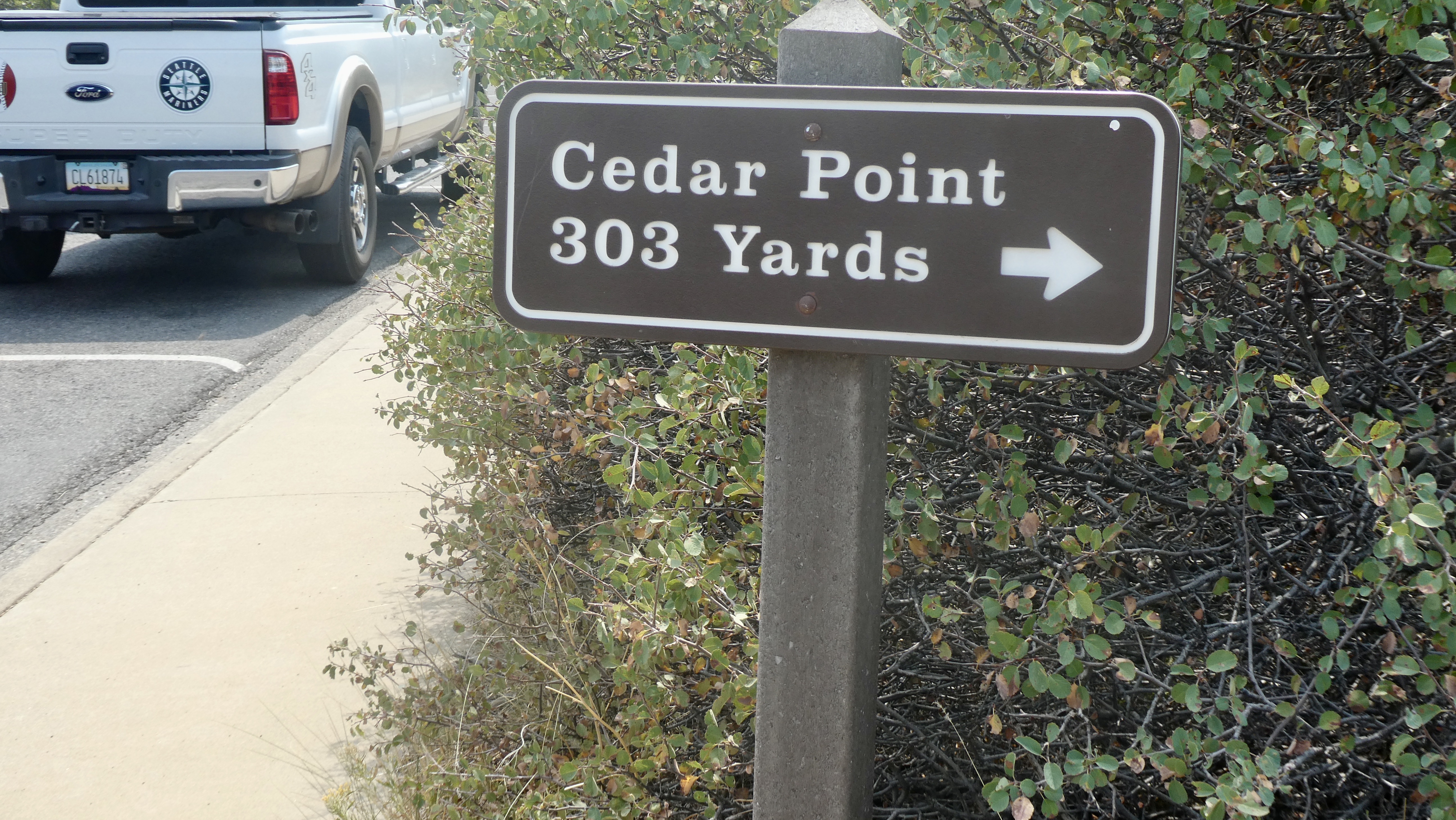 035CEDA3-8850-4FE5-B30D-302AA082C401_1_201_a