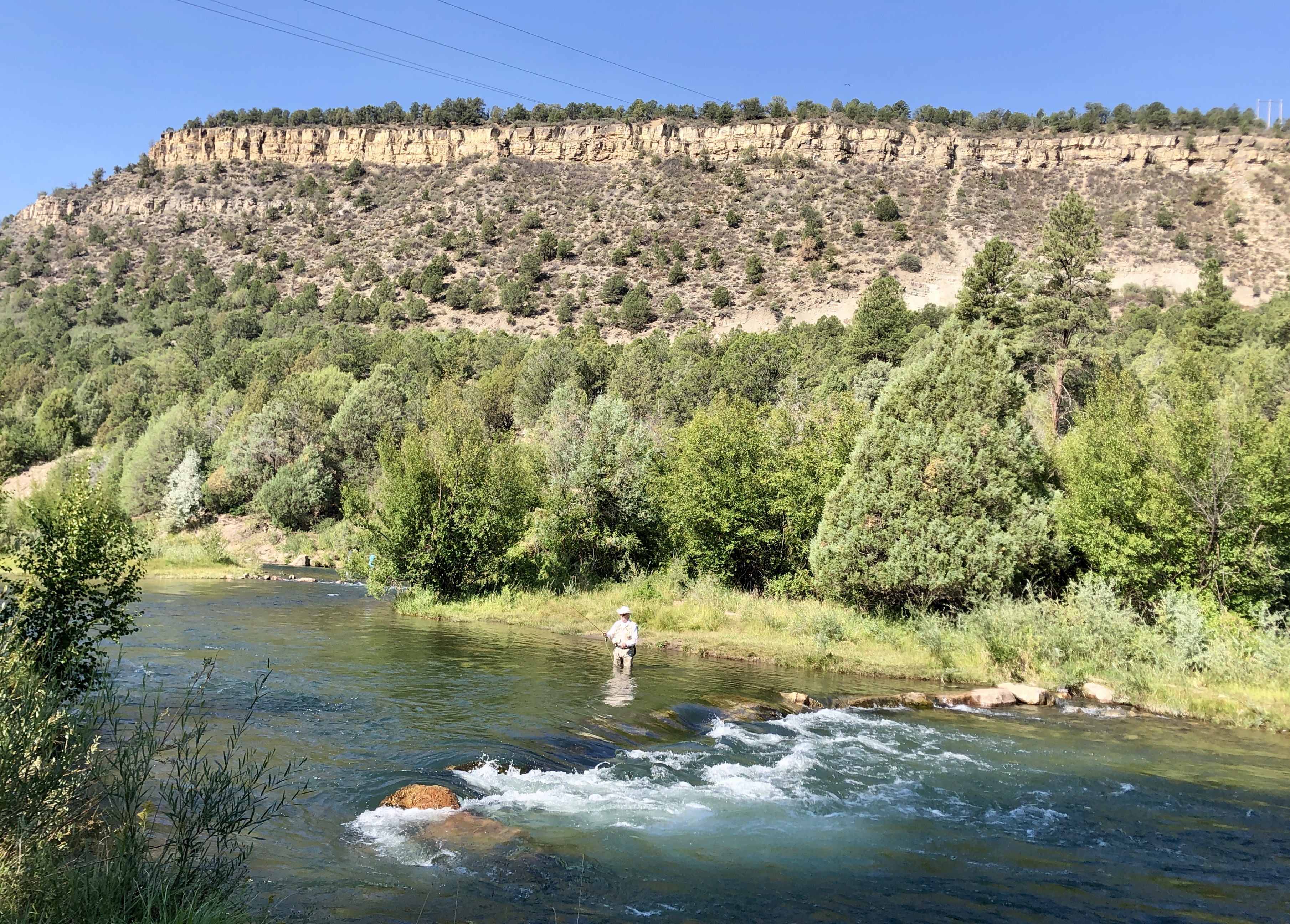 33C6425E-E459-463D-BF4F-EBAB21578769_1_201_a