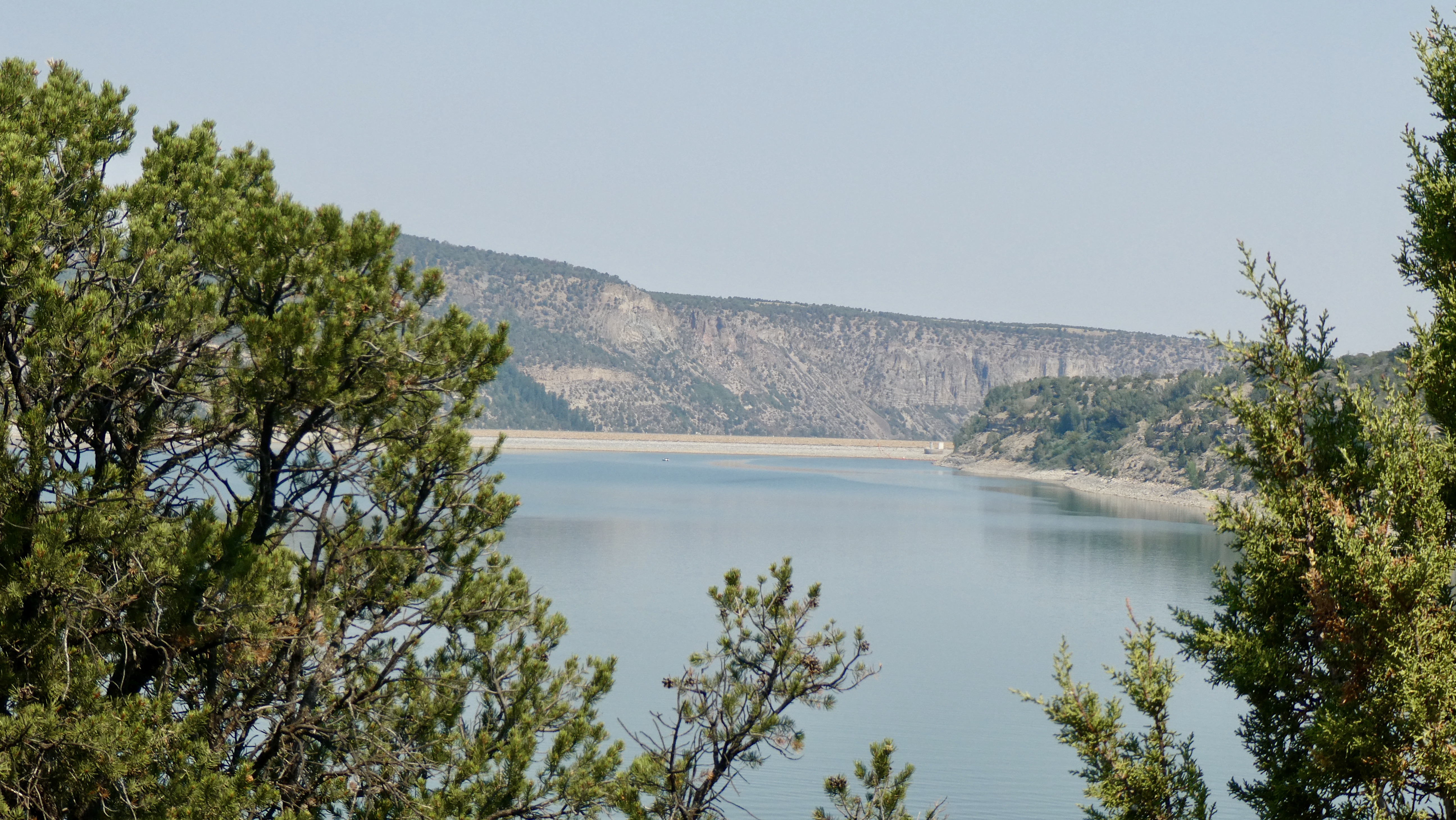 3D1981C7-55EE-4134-A635-35CF73303CB0_1_201_a