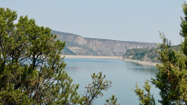 3D1981C7-55EE-4134-A635-35CF73303CB0_1_201_a