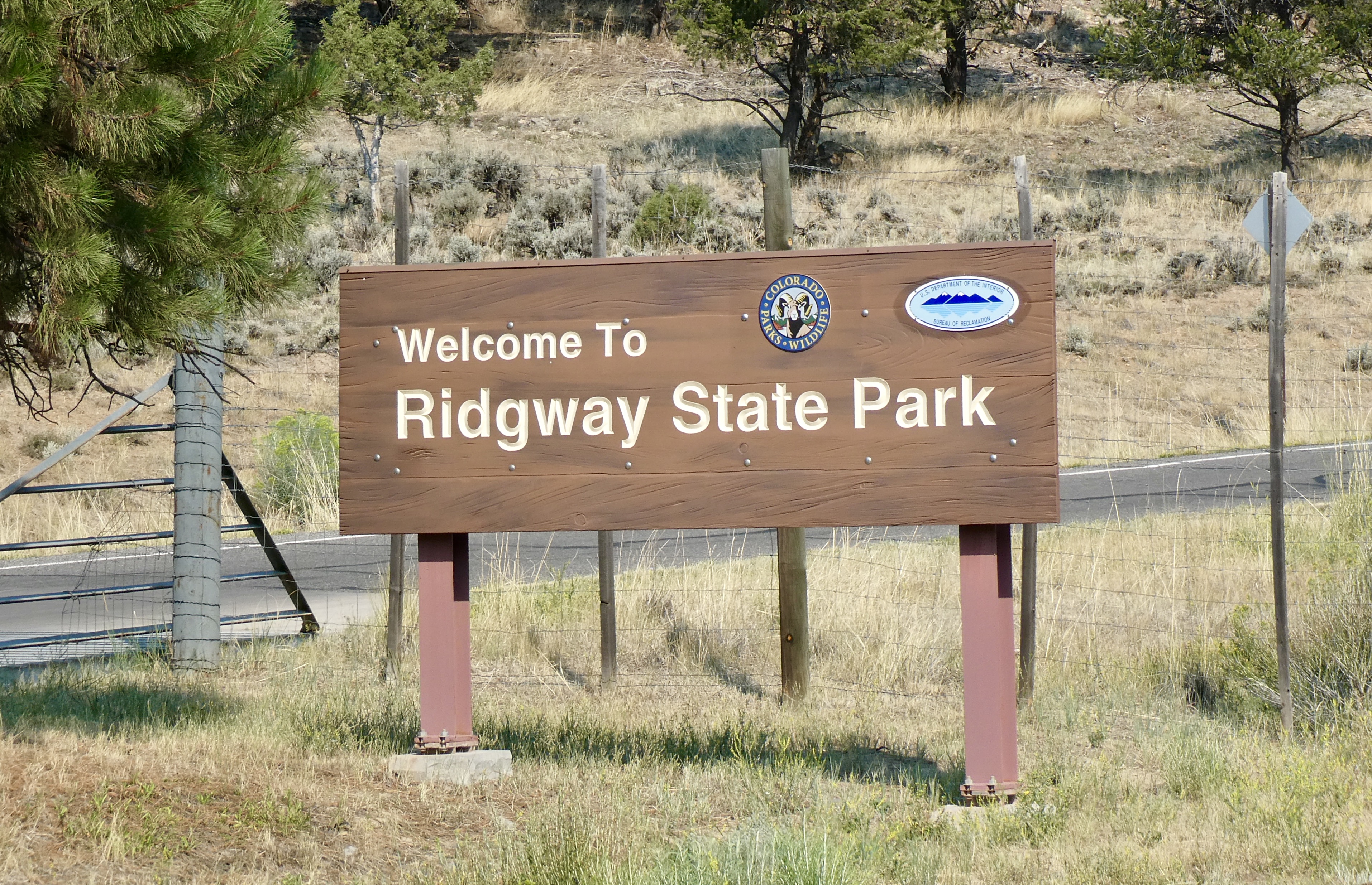 5064E136-C82A-4710-ADF5-6633DC4F9C1C_1_201_a