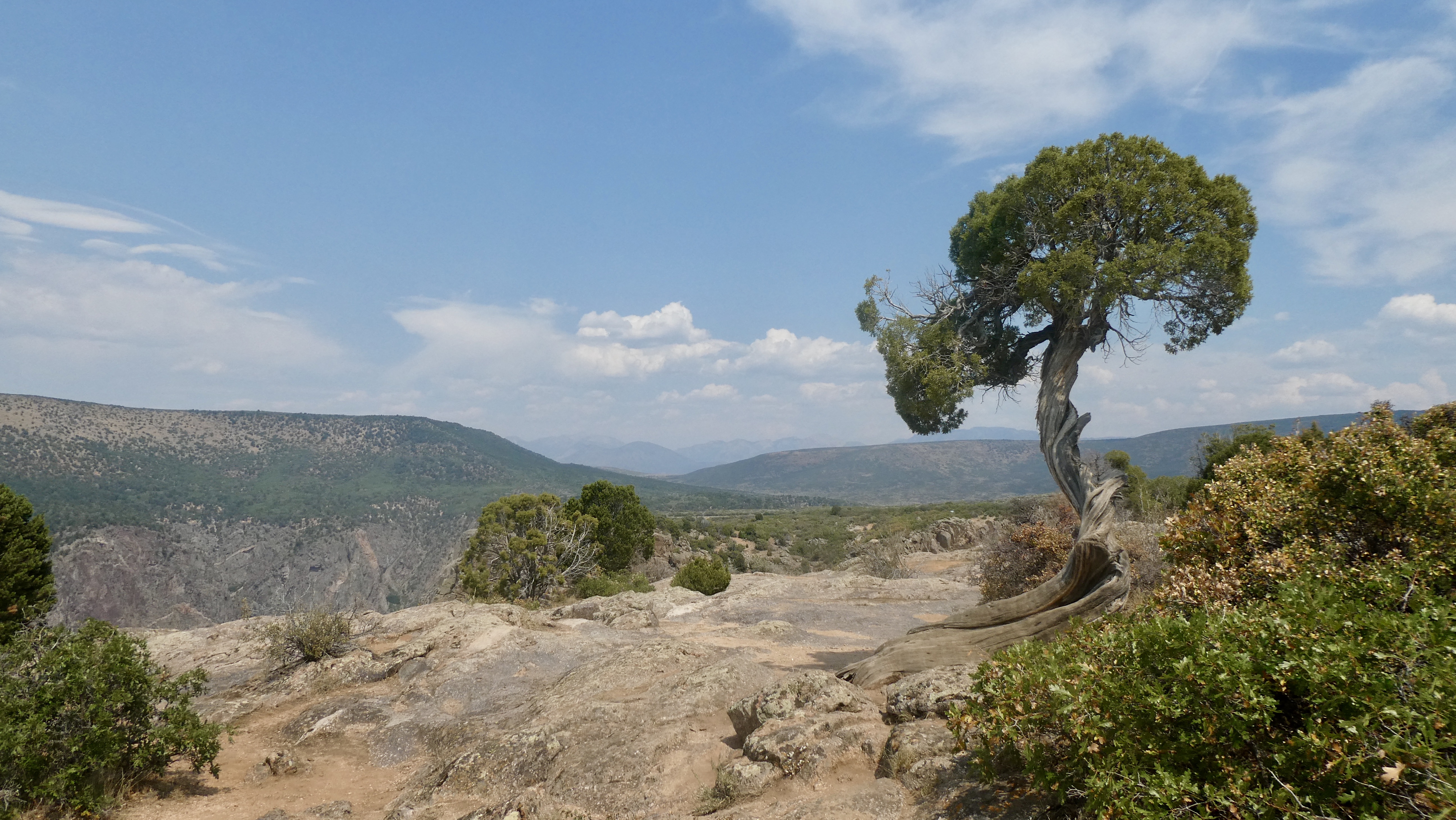 60DAE99C-E84A-4659-97E9-DD9619733AD6_1_201_a