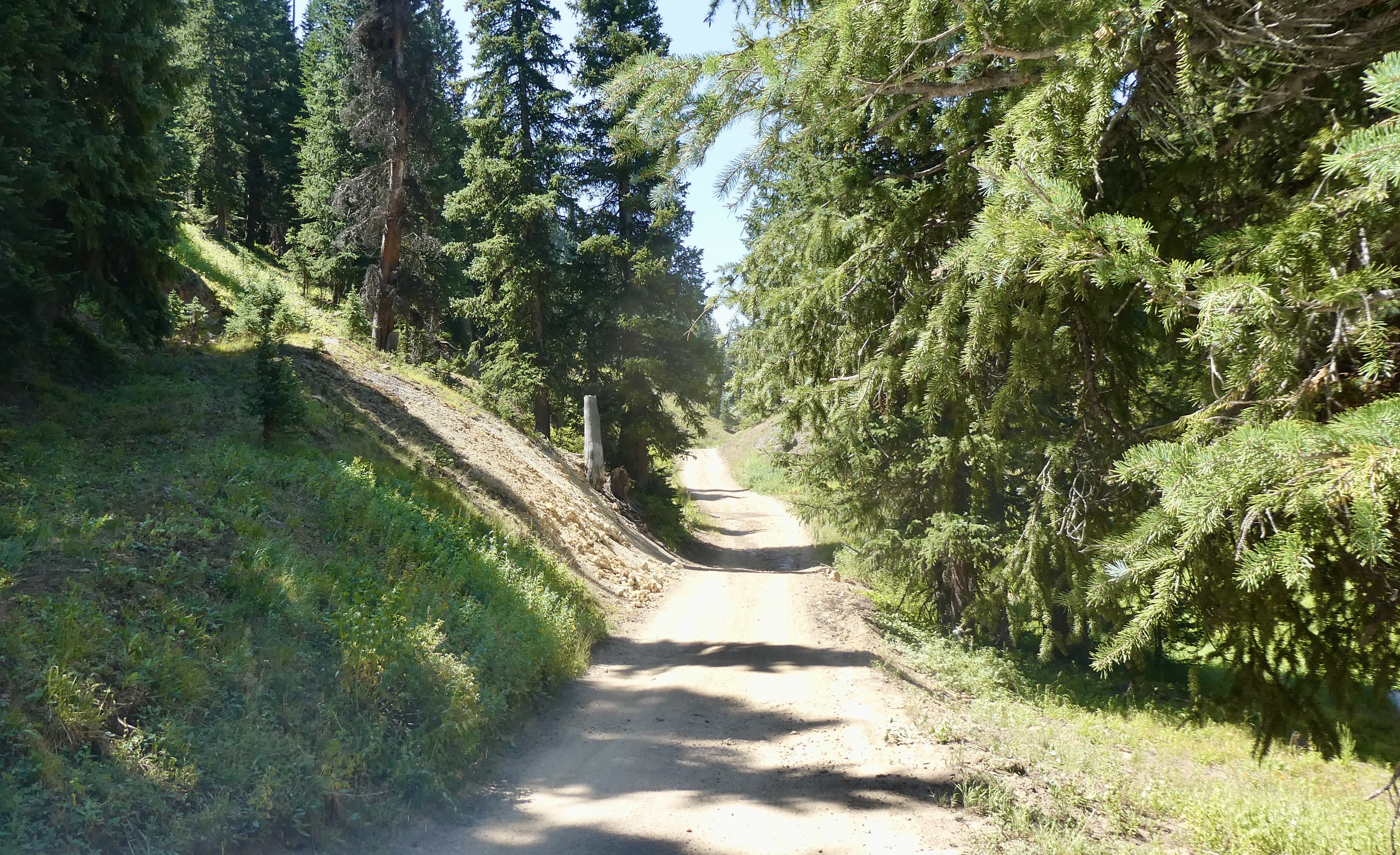 7F88233B-6B0D-487E-99B1-46985DA68B44_1_201_a