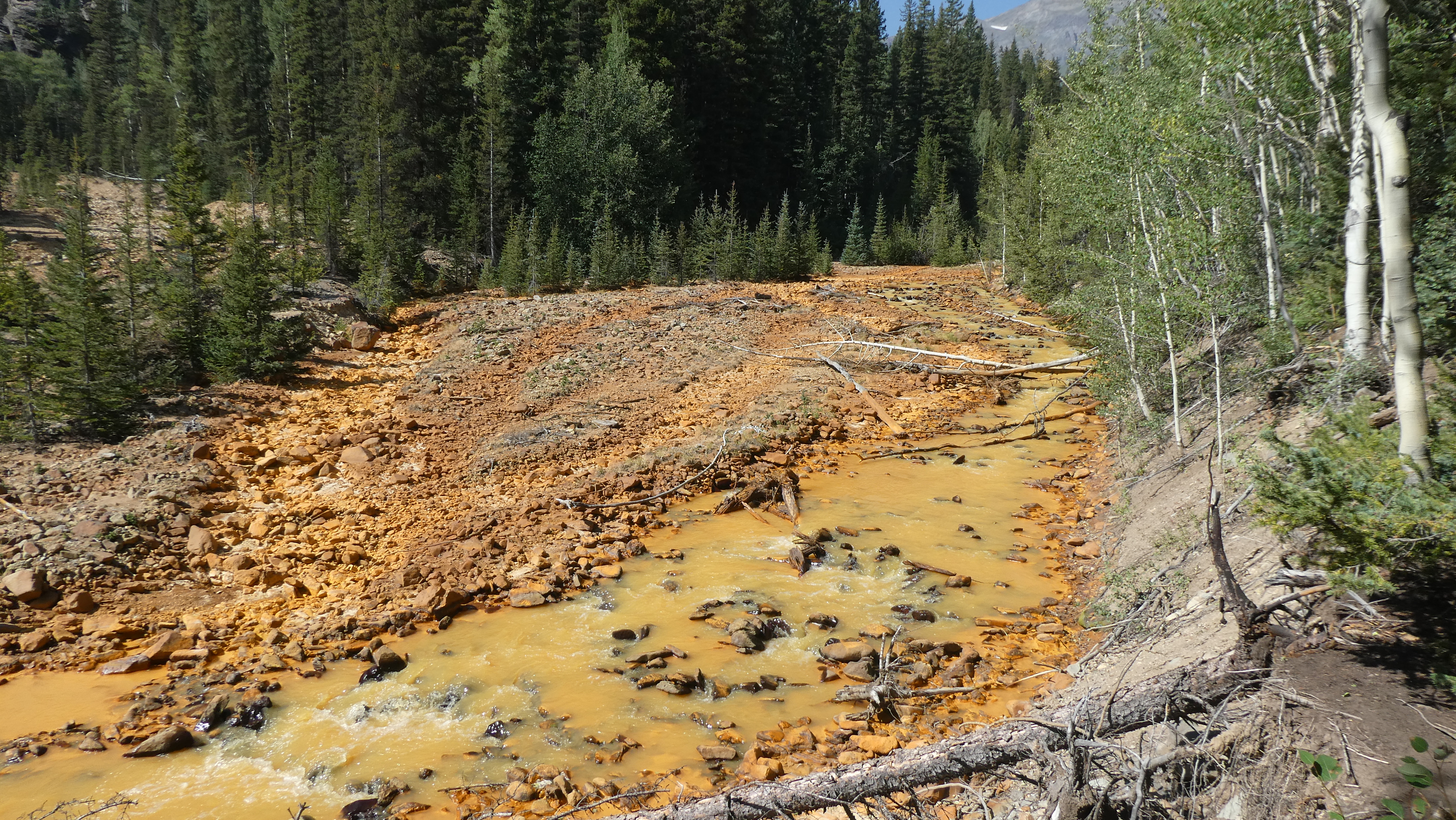 FB043A2C-6426-4340-927A-9521A9B2E944